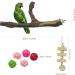 Allazon 4-Piece Bird Toys Set - Natural Wood Seat Rods & Grape Stick Swing for Parrots - Best Bird Play Accessories - Buy Online on GoSupps.com