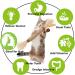 Silvervine Chew Stick Cat Toys - 10 Pack Kitten Treat with Catnip for Dental Hygiene - Interactive Exercise Toy for Cats - Natural Teeth Cleaning Snack - Ideal for Indoor Cats and Small Pets - GREMBEB 4 Pack - Buy Online on GoSupps.com