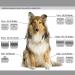 BESTBOMG Replacement Knife Set for Dog Care - 3 Pieces Compatible with Heiniger/Moser Max45/Andis/Easter A5 Sizes 3.2mm - 9.5mm Cutting Length 7FC+5FC+4FC - Buy Online on GoSupps.com