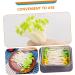 Alipis 250 Pcs Fake Vegetables Small Bean Sprouts Decorations Plastic Elastic Toy Light Greenx5pcs 9x1cmx5pcs - Buy Online on GoSupps.com