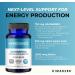 MYOXCIENCE Berberine Fasting Accelerator - Berberine HCL with ALA and Biotin - Buy Online on GoSupps.com