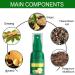 Ginger Hair Growth Serum | Repair Spray for Thinning Damaged Hair | Regrowth Solution for Men & Women - Shop Internationally - Buy Online on GoSupps.com