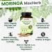 Moringa Capsules 5000 mg Approvisionnement de 2 mois | 60 g lules haute r sistance | V g talien sans OGM et test en laboratoire - Buy Online on GoSupps.com