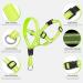 Weesiber Adjustable Soft Dog Collar & Halter - Padded No Pulling Reflective Safety Strips for Training & Walking - Medium Green - Buy Online on GoSupps.com
