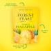 FOREST FEAST Tropical Pineapple 6 x 120g | Dried Fruit Healthy Snack Option with 100% Natural Dried Pineapple with No Added Sugar High in Fibre & Low Fat - Buy Online on GoSupps.com