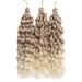 3 Packs Hawail Curl Synthetic Crochet Hair - 20 Ocean Wave Twist, Wet and Wavy Braiding Hair Extension for Women - Buy Online on GoSupps.com