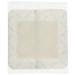 Dermarite Industries Bordered Gauze Pad 6x6/4x4 100 Count