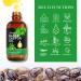 Organic Jamaican Black Castor Oil & Jade Gua Sha Tool - 100% Pure Cold Pressed Massage Oil for Skin Care - 2.02 fl oz - Buy Online on GoSupps.com