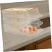 PRETYZOOM Egg Holder Fridge Egg Storage Box Eggs Refrigerator Fridge Kitchen Egg Holder Egg Holes Trays Portable Egg Carton - Buy Online on GoSupps.com