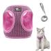Cat dishes with a leash outbreak -proof cat leash with dishes for cats adjustable cat dishes breakout reflective tableware set for cats Small dogs (pink -m) m pink pink