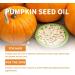 Pumpkin Seed Oil For Hair Growth 60ML Organic Pumpkin Seed Oil For Hair Eyebrow & Eyelash Growth Skin Care Pumpkin Oil For Hair Growth Improve Hair Loss and Nourishes Scalp Non-greasy (1PC) - Buy Online on GoSupps.com