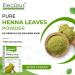Eleciou Natural Henna Powder for Hair Color & Growth | 200g - 100% Organic & International Shipping Available - Buy Online on GoSupps.com
