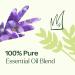 Buy Plant Therapy KidSafe Germ Destroyer Essential Oil Blend - 100% Pure Natural Aromatherapy for Kids Pre-Diluted Roll-On 10 mL - Buy Online on GoSupps.com