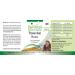Fairvital Floravital Basic - 6 Bacterial Cultures & Inulin Lactobacillus & Bifidobacteria | 90 Capsules - Best for Gut Health Worldwide - Buy Online on GoSupps.com