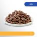 Perfect Fit Sensitive 1+ Wet Cat Food - Salmon in Sauce for Adult Sensitive Cats | Supports Digestion | 12 x 85g Pack - Buy Online on GoSupps.com