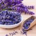 H2K Botanicals Lavender and Sandalwood Cleansing Hand Wash 250ml - Buy Online on GoSupps.com