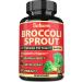 Broccoli Sprouts Extract Capsule - Rich in Fiber with Turmeric Oregano Green Tea and Black Pepper Extract - 8450mg - 5 Herbs - 1 Pack 60 Vegan Capsules