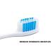 Travel Toothbrush On The Go Folding Feature - Medium Bristle Brushes (3 Pack) - 3 Count - Buy Online on GoSupps.com