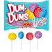 DumDums Easter Bunndy Pop Lolipop Suckers 20ct - Perfect For Easter Banket Candy and Egg hunts 7.1oz