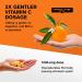 Immune System Booster - Vitamin C Zinc Supplement with Echinacea & Elderberry - 5-in-1 Herbal Immunity Support - 1 Pack - Buy Online on GoSupps.com