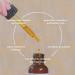 Offernova Organic Rosa de Mosqueta - USDA Certified Rosehip Seed Oil for Scars, Stretch Marks, Fine Lines & Wrinkles - Gua Sha Massage for Face & Hair - All Skin Types - Buy Online on GoSupps.com