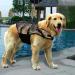 Buy XL Camouflage Dog Life Jacket - Safe Swimming Vest for Small & Large Puppies - Buy Online on GoSupps.com