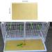 DVECUE Gravel Paper for Bird Cage 11x17 Inch - 10 Pack Absorbent Liner Sheets - Buy Online on GoSupps.com