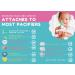 Nookums Paci-Plushies Shakies Pacifier Holder with Built in Rattle 2 in 1 Adapts to Name Brand Pacifiers Suitable for All Ages Plush Toy Includes Detachable Pacifier - Pink Baby Bear - Buy Online on GoSupps.com