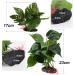 Artificial Aquarium Plants Decoration - 2 Pieces (23cm & 18cm) - Realistic Plastic Aquatic Plants for Home & Office Aquariums - Buy Online on GoSupps.com