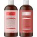 Argan Oil of Morocco Shampoo and Conditioner Set - Sulfate-Free for Color Treated Hair - Volumizing & Hydrating Formula for Men and Women - 2 Piece Set - Buy Online on GoSupps.com
