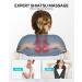 AllJOy Shiatsu Neck and Back Massage Device with Heat - Electric Shoulder & Foot Massager for Home & Office | Perfect Gift for Men & Women - Buy Online on GoSupps.com