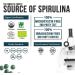 Parry Spirulina Tablets - Certified Organic 360 Tablets for Highest Nutrient Density, Non-Irradiated, 4 Organic Certifications - 90 Servings - Buy Online on GoSupps.com