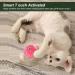 PUPPBUDD 3 Cat Toys with Catnip - Interactive Electric Cat Balls with Sound | Fun Play Set for Cats - Buy Online on GoSupps.com