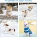 Shop Lynine Blue Striped Dog Sweater Warm Soft Comfortable Knit Sweater for Small Dogs & Cats Perfect Winter Apparel - Buy Online on GoSupps.com
