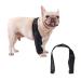 Dog Leg Brace Elbow Brace Protector Pads for Small Dogs and Cats Support Elbow Hygroma Shoulder Dysplasia Osteoarthritis Elbow Calluses and Shoulder Dislocation(L) Large