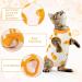 Pumyporeity Catsuit - Recovery Suit for Post-Surgery Cats | Surgical Recovery Body for Abdominal Wounds | XS Orange Cat Clothing - Buy Online on GoSupps.com