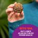 Blender Bombs Smoothie Booster - Goji, Coconut & Acai | Healthy Superfood Blend - Buy Online on GoSupps.com