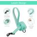 Buy Bella & Pal Small Dog Harness with Leash - Breathable Air Mesh Reflective Design Perfect for Puppies & Cats - Mint Green (S: 35-40cm) - Buy Online on GoSupps.com