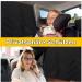 Lechin Magnetic Sun Protection Car Baby Curtain - UV & Heat Shield for Children - 2 Pieces for Side & Rear Windows - Buy Online on GoSupps.com