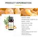 10 ml Frankincense Essential Oil - Natural Spa Massage Oil for Relaxation & Therapy - Buy Online on GoSupps.com