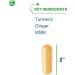 Nutra BioGenesis ArthroGenx - Turmeric Ginger & MSM for Joint Support | 150 Capsules - Natural Inflammation Relief - Buy Online on GoSupps.com