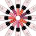 6 Colors Wine Lipstick Set - Matte Long-Lasting & Waterproof Lip Tint for Women & Girls | Perfect Gift for Moms & Friends - Buy Online on GoSupps.com
