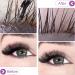 Eyelash Cleanser Concentrate 100ml Lavender Professional Lash Shampoo Foaming Cleanser DIY Paraben & Sulfate Free Non-lrritating Wash for Extensions Lashes with Salon Home Care-Makes 10 Bottles Lavender 1 count (Pack of 1) - Buy Online on GoSupps.com