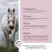 Annimally Nerve Strength Powder for Horses - 850g Calming Blend with Magnesium Tryptophan Valerian Passion Flower & Hemp Oil - Reduce Fear & Stress During Transport - Buy Online on GoSupps.com