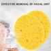 20 PCS Turmeric Cleansing Pads Reusable Facial Sponges Soft Absorbent Tumeric Pads Multipurpose Turmeric Face Pads for Daily Facial Cleansing Makeup Remover - Buy Online on GoSupps.com