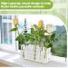 50 Pcs Floral Water Tubes with Rack Holder - Flower Vials for Milkweed Cuttings and Arrangements - Buy Online on GoSupps.com