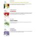 The Face Shop Facial Mask Sheets - 15 Pack Real Nature Peel Off Mask | Anti-Aging Firming & Moisturizing Essence for Glowing Skin - Buy Online on GoSupps.com