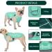 Buy Kuoser Cool Vest for Dogs | Cooling Jacket & Coat | Ideal for Outdoor Activities | Ventilated Dog Cooling Vest in Green - Buy Online on GoSupps.com