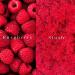 Raspberry Slush Fruity Lip Scrub - 100% Vegan Lip Care for Men & Women | Removes Dark Dry & Chapped Lips & Lipstick Stains - 15gm - Buy Online on GoSupps.com