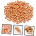 Alipis 4pcs 1 Grill Playset Artificial Nut Model Simulation Fake Fruit Peanut Kernels Prop Faux Peanut Kernels Faux Groundnut Fake Nut Model Toys Artificial Flowers Food Pvc - Buy Online on GoSupps.com